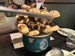 -捞王猪肚鸡火锅(财富中心店)