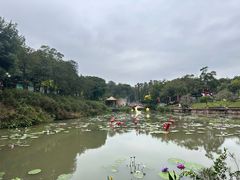 -广州莲花山旅游区