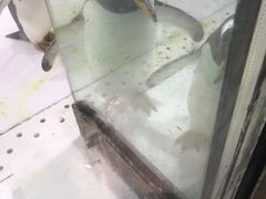 -大连圣亚海洋世界