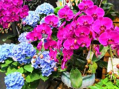 -豆豆花艺(新光天地店)