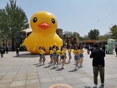 -南戴河国际娱乐中心