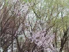-哈尔滨师范大学(江南校区)