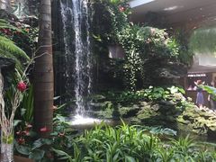 景观位-白天鹅宾馆·流浮阁咖啡厅