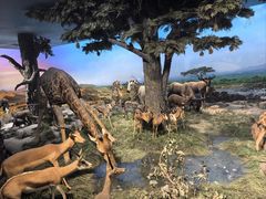 -国家自然博物馆