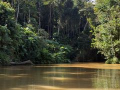 -热带雨林自然公园