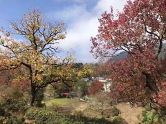 -塔川景区