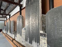 -白帝城·瞿塘峡景区