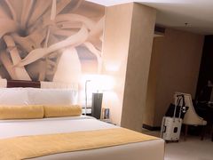 -国家会议中心大酒店