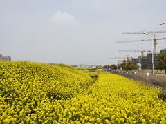 -南京市江宁方山