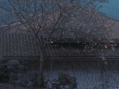 -中国茶叶博物馆(双峰馆区)