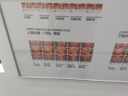 -ZELL·泽尔医疗美容