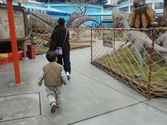 -海合安武汉极地海洋公园