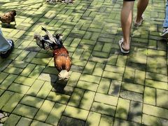 -开元溶洞