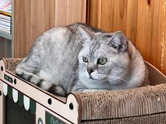 -隅cafe(傅厚岗店)