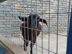 -武汉紫薇都市田园