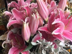 -FEI FEI FLOWER鲜花店·气球派对·宝宝宴布置(虹口德必运动Loft店)