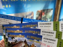 -西双版纳傣族园