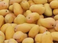 小台农芒果-彭盛菜市场