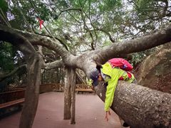 -青芝山风景名胜区