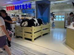 -红星前进面包牛奶公司(君太店)