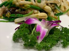 花生苗炒海螺片-周锦记广式餐厅(格林生活坊2期店)