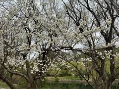 -贵阳市花溪国家城市湿地公园