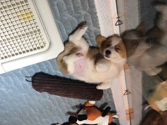 -S Team剧情密室(杭州龙翔桥店)