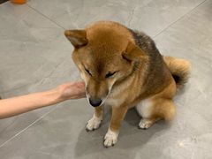 -NOTBAD 须时·咖啡馆