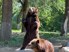 -北京野生动物园