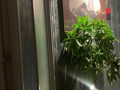 -刀马旦养生中心(时代店)