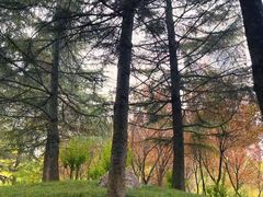 -陕西自然博物馆