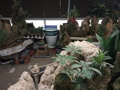 -秦美花卉(天朗·莱茵小城2期店)