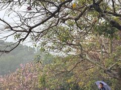 -小南山公园
