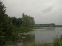 -东郊湿地公园