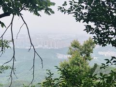 -紫金山山顶公园