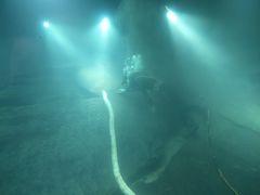 -白鹤梁水下博物馆