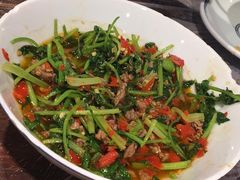 香菜炒牛肉-壹盏灯(蚂蚁工房店)