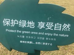 -湘湖金融镇