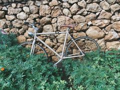 -田德能咖啡博物馆
