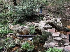 -波尔登森林公园