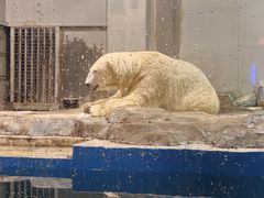 -大连圣亚海洋世界