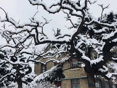 -中央民族大学