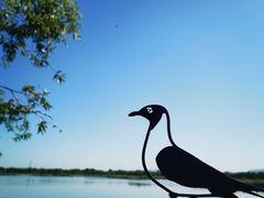 -野鸭湖国家湿地公园