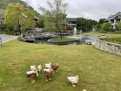 -阳朔悦榕庄·明月西餐厅&清风吧