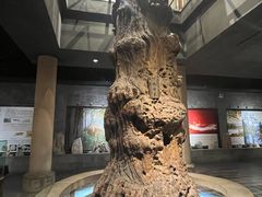 -乐山乌木文化博览苑