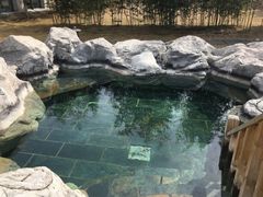 -和园景逸大酒店朗月汤泉