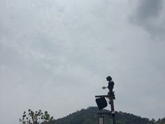 -中华孝德园