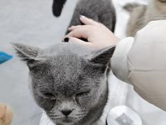 -极木²邸 人与宠物·互动社区