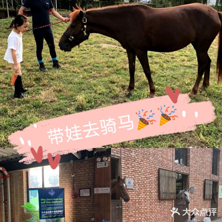 带娃骑马-骑域国际马术🏇🏻俱乐部