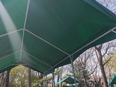 -尚庄度假村·庭台树下·户外烧烤·团建CS·轰趴营地(上庄水库店)